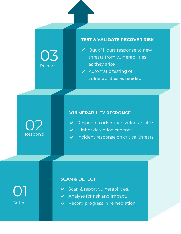 Vulnerability Management as a Service (VMaaS) - Infographic